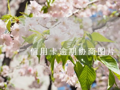 信用卡逾期协商图片 信用卡逾期协商图片