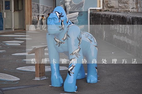 信用卡逾期协商处理方法 信用卡逾期协商处理方法