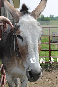信用卡逾期协商处理电话 信用卡逾期协商处理电话