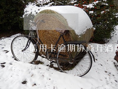 信用卡逾期协商开消费证明 信用卡逾期协商开消费证明