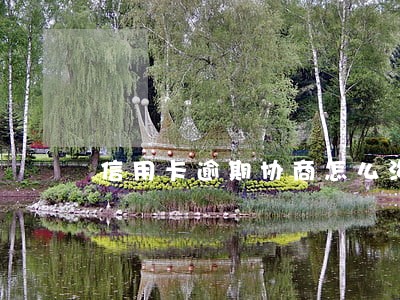 信用卡逾期协商怎么沟通