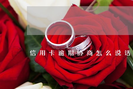 信用卡逾期协商怎么说话
