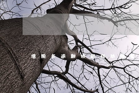 信用卡逾期协商成功账单没变 信用卡逾期协商成功账单没变