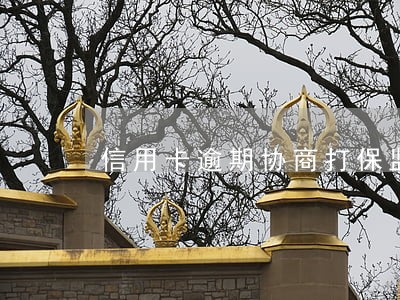 信用卡逾期协商打保监会 信用卡逾期协商打保监会