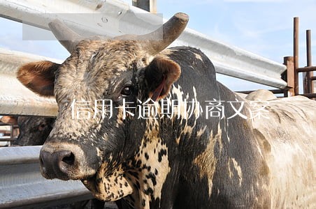信用卡逾期协商文案