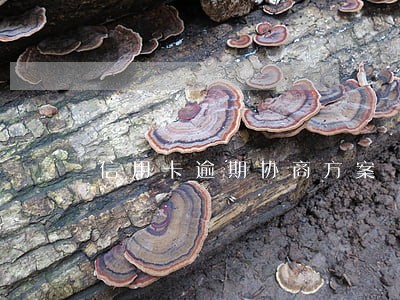 信用卡逾期协商方案