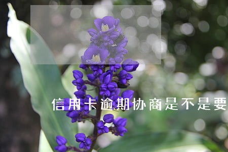 信用卡逾期协商是不是要诚意金