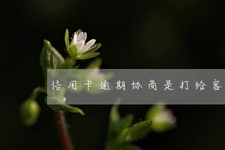 信用卡逾期协商是打给客服吗 信用卡逾期协商是打给客服吗