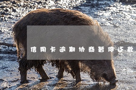 信用卡逾期协商暂停还款 信用卡逾期协商暂停还款