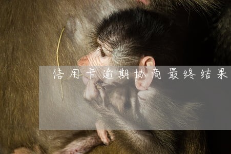 信用卡逾期协商最终结果 信用卡逾期协商最终结果