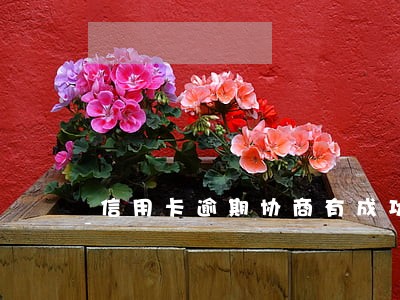 信用卡逾期协商有成功的吗 信用卡逾期协商有成功的吗
