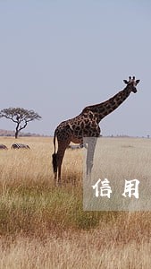 信用卡逾期协商未果会坐牢嘛 信用卡逾期协商未果会坐牢嘛