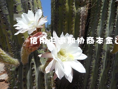 信用卡逾期协商本金还款多久账单可以清零