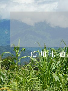 信用卡逾期协商条例