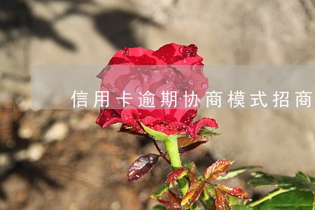 信用卡逾期协商模式招商 信用卡逾期协商模式招商