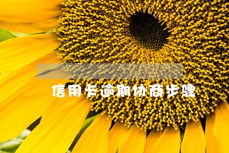 信用卡逾期协商步骤 信用卡逾期协商步骤