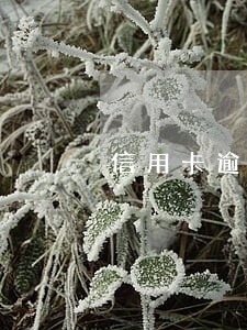 信用卡逾期协商汇总 信用卡逾期协商汇总