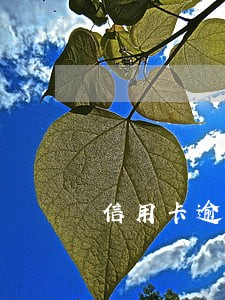 信用卡逾期协商没有减免 信用卡逾期协商没有减免