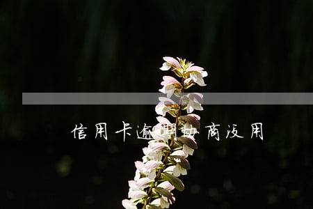 信用卡逾期协商没用 信用卡逾期协商没用