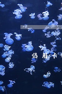 信用卡逾期协商法务 信用卡逾期协商法务