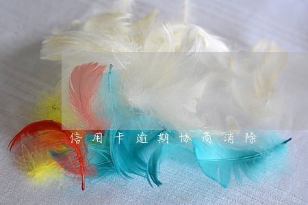 信用卡逾期协商消除 信用卡逾期协商消除