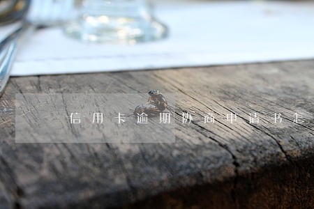 信用卡逾期协商申请书怎么说