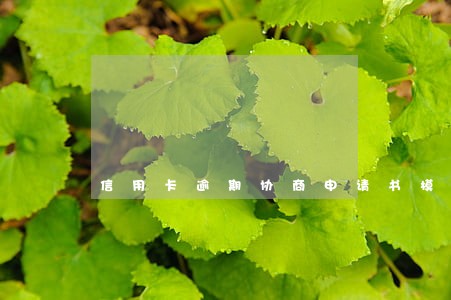 信用卡逾期协商申请书模板 信用卡逾期协商申请书模板
