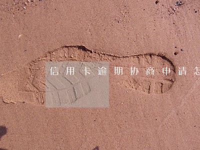 信用卡逾期协商申请怎么写 信用卡逾期协商申请怎么写