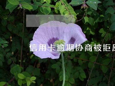 信用卡逾期协商被拒应该找谁 信用卡逾期协商被拒应该找谁