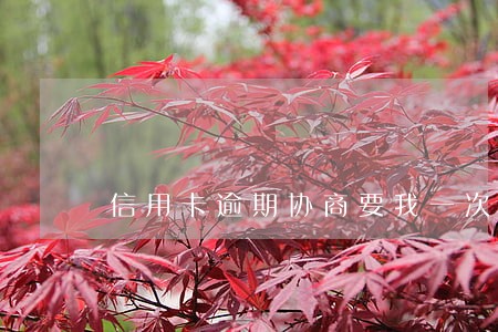 信用卡逾期协商要我一次性还清 信用卡逾期协商要我一次性还清