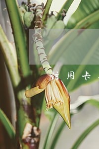 信用卡逾期协商解决方法银行