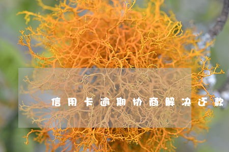 信用卡逾期协商解决还款方式 信用卡逾期协商解决还款方式