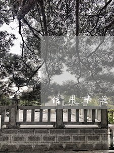 信用卡逾期协商说后面可以用 信用卡逾期协商说后面可以用