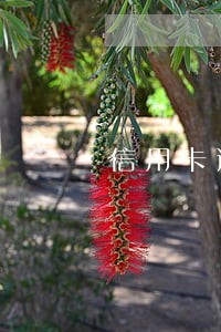 信用卡逾期协商过后又逾期 信用卡逾期协商过后又逾期
