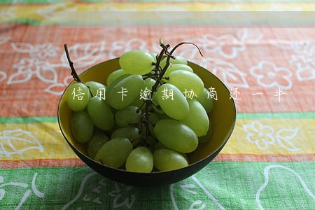 信用卡逾期协商还一半