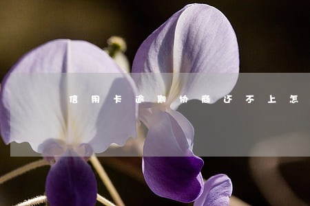 信用卡逾期协商还不上怎么办 信用卡逾期协商还不上怎么办