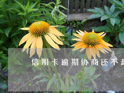 信用卡逾期协商还不起可以起诉吗 信用卡逾期协商还不起可以起诉吗