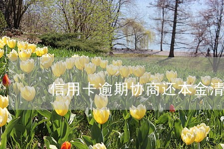 信用卡逾期协商还本金清账流程 信用卡逾期协商还本金清账流程