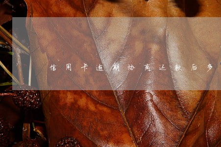 信用卡逾期协商还款后多久能借 信用卡逾期协商还款后多久能借