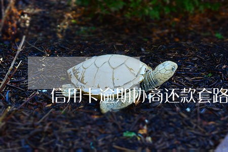 信用卡逾期协商还款套路 信用卡逾期协商还款套路