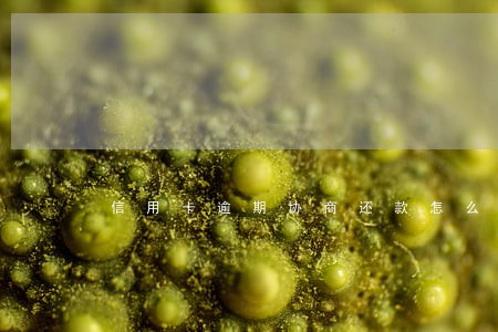 信用卡逾期协商还款怎么处理 信用卡逾期协商还款怎么处理