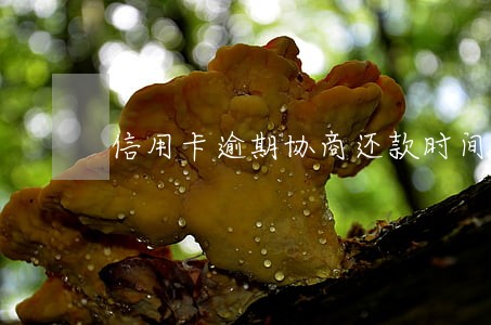 信用卡逾期协商还款时间 信用卡逾期协商还款时间