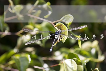 信用卡逾期协商还款未果怎么办 信用卡逾期协商还款未果怎么办