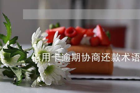 信用卡逾期协商还款术语 信用卡逾期协商还款术语