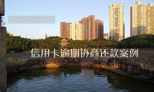 信用卡逾期协商还款案例