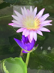 信用卡逾期协商还款注意 信用卡逾期协商还款注意