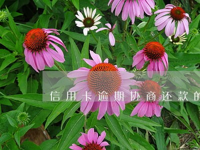 信用卡逾期协商还款的条件 信用卡逾期协商还款的条件