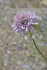 信用卡逾期协商还款说等电话 信用卡逾期协商还款说等电话