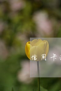 信用卡逾期协商还要签吗 信用卡逾期协商还要签吗
