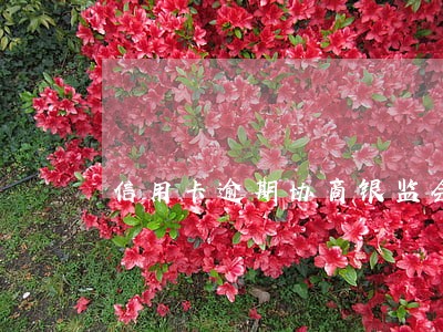 信用卡逾期协商银监会会管吗 信用卡逾期协商银监会会管吗